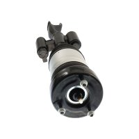 Air Suspension Strut TRISCAN IAM-Expertise suitable for e.g. MB C-CLASS