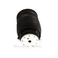 Luftfeder Fahrwerk TRISCAN IAM-Expertise passend für...