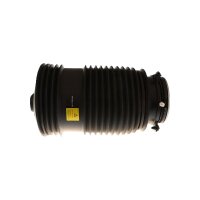 Air Spring Suspension TRISCAN IAM-Expertise suitable for...