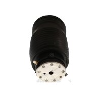 Air Spring Suspension TRISCAN IAM-Expertise suitable for...