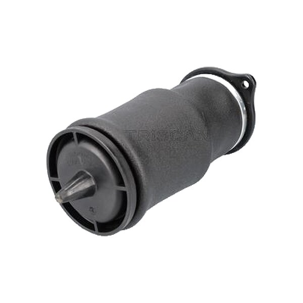 Air Spring Suspension TRISCAN IAM-Expertise suitable for e.g. MERCEDES-BENZ VITO