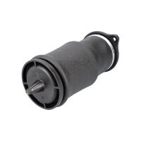 Air Spring Suspension TRISCAN IAM-Expertise suitable for...