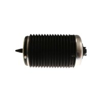 Air Spring Suspension TRISCAN Aftermarket-Expertise...