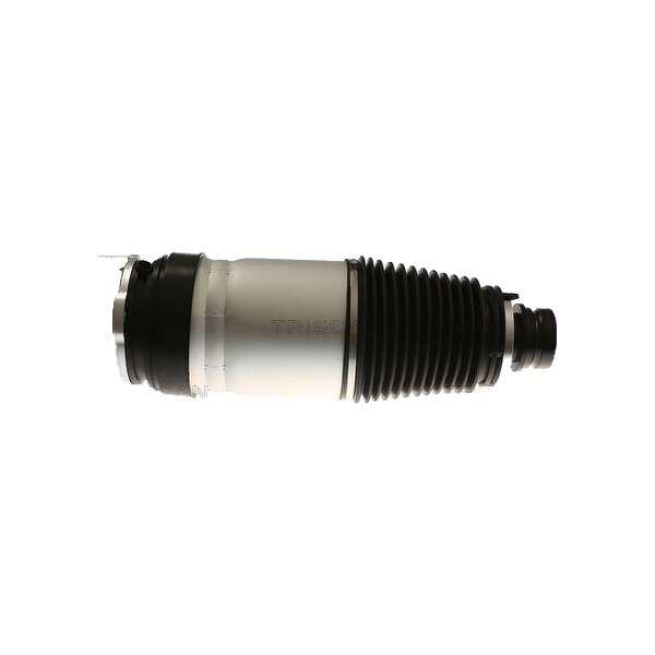 Air Spring Suspension TRISCAN Aftermarket-Expertise suitable for TESLA MODEL