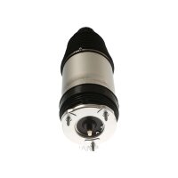 Air Spring Suspension TRISCAN Aftermarket-Expertise suitable for TESLA MODEL