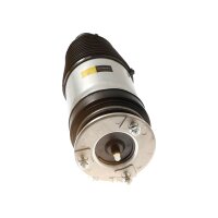 Air Spring Suspension TRISCAN Aftermarket-Expertise...