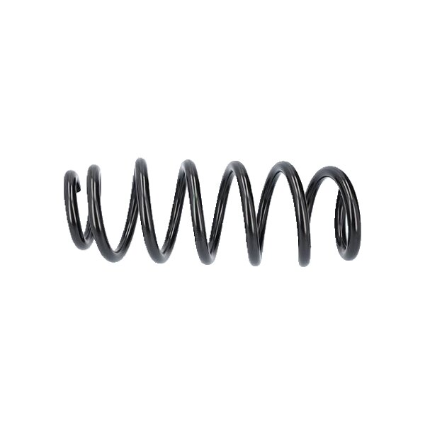 Suspension Spring Front Axle Coil Spring TRISCAN for TESLA MODEL