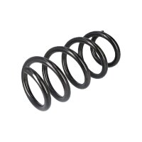 Suspension Spring Rear Axle Coil Spring TRISCAN for TESLA...