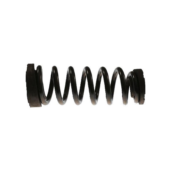 Suspension Spring TRISCAN Aftermarket-Expertise suitable for MG 4