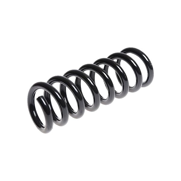 Suspension Spring Rear Axle Coil Spring TRISCAN for MB C-CLASS and others