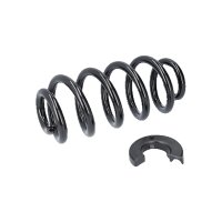Suspension Spring Rear Axle Coil Spring TRISCAN suitable...