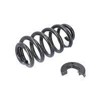 Suspension Spring Rear Axle Coil Spring TRISCAN for VW...