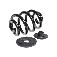 Suspension Spring rear coil spring TRISCAN for e.g. VW...
