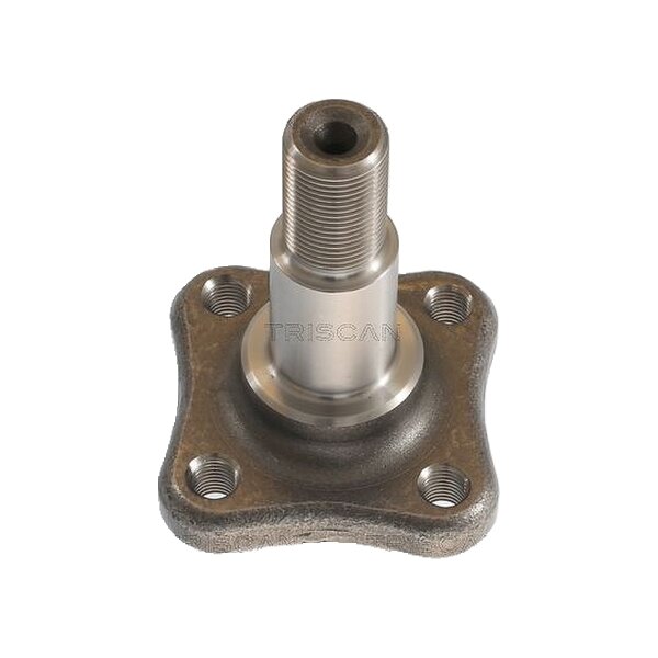 Wheel Hub M10X1.25 TRISCAN Aftermarket-Expertise for RENAULT CLIO and others