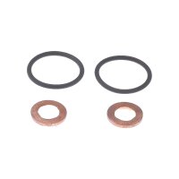 Seal Kit Injector Nozzle TRISCAN suitable for e.g....
