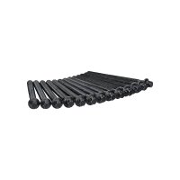 Cylinder Head Bolt Set M10 110 mm TRISCAN suitable for...