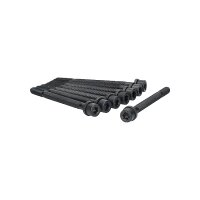 Cylinder Head Bolt Set M11 137 mm TRISCAN suitable for...