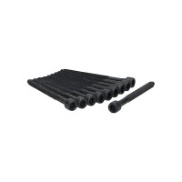 Zylinderkopfschraubensatz M10 117 mm TRISCAN passend...