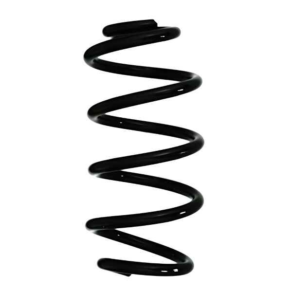 Rear Suspension Spring Coil Spring Ø 115 mm SPIDAN for NISSAN JUKE