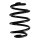 Rear Suspension Spring Coil Spring Ø 143 mm SPIDAN for NISSAN LEAF