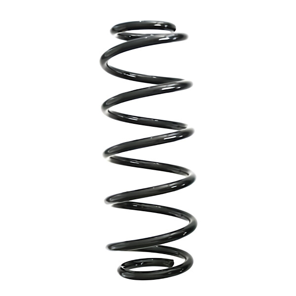 Rear Suspension Spring Coil Spring Ø 106 mm SPIDAN for KIA PICANTO
