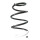 Suspension Spring front coil spring Ø 146 mm SPIDAN for KIA NIRO