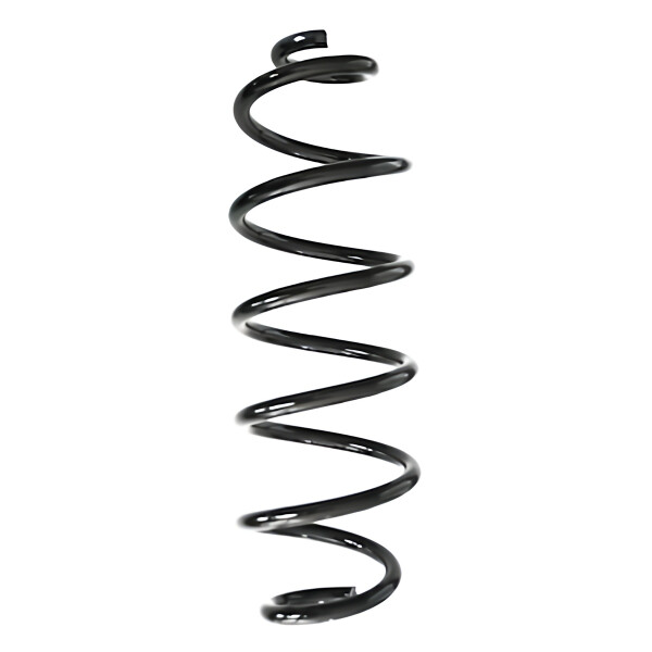 Suspension Spring rear coil spring Ø 116 mm SPIDAN for NISSAN QASHQAI