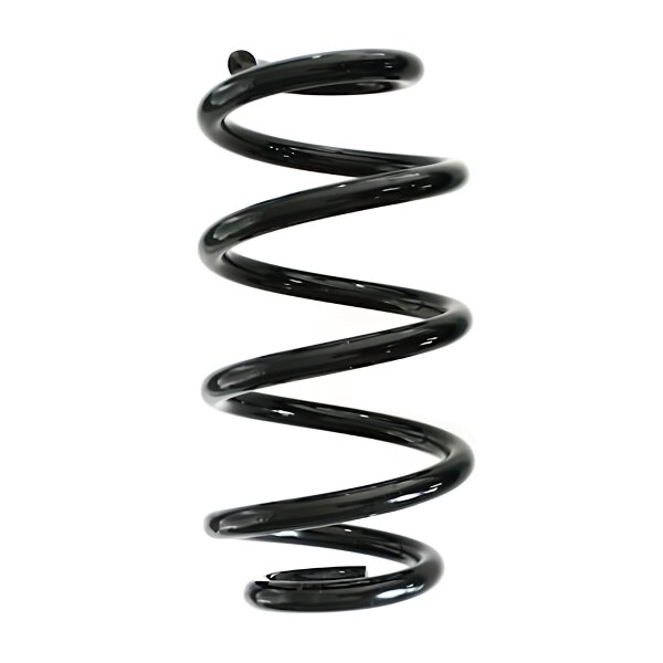 Rear Suspension Spring Coil Spring Ø 117 mm SPIDAN suitable for BMW 1