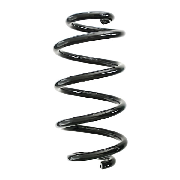 Rear Suspension Spring Coil Spring Ø 123 mm SPIDAN suitable for BMW 1