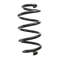 Rear Suspension Spring Coil Spring Ø 123 mm SPIDAN...