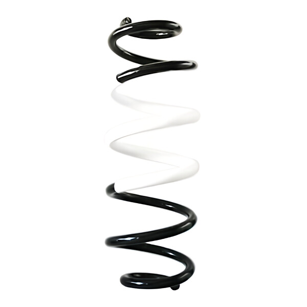 Suspension Spring rear coil spring Ø 121 mm SPIDAN for TOYOTA YARIS