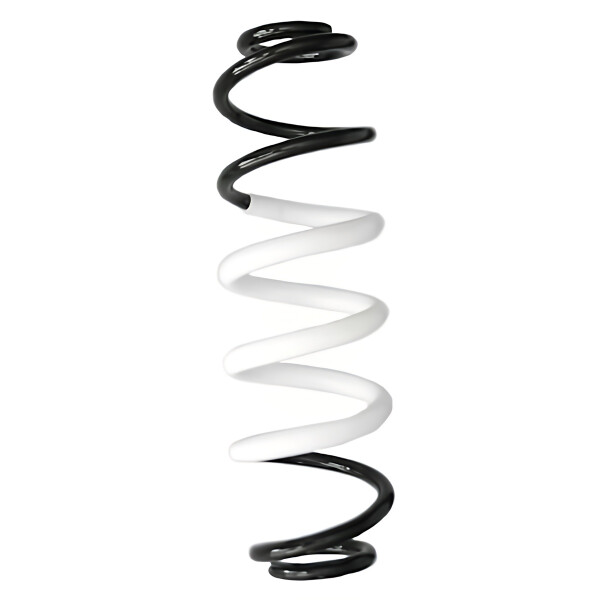 Rear Suspension Spring Coil Spring Ø 120 mm SPIDAN for TOYOTA C-HR
