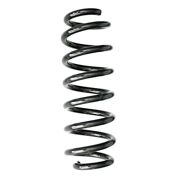 Suspension Spring rear coil spring Ø 100 mm SPIDAN for TOYOTA YARIS
