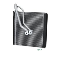 Verdampfer Klimaanlage R 134a 193 - 250 mm BOSCH für u.a. VW GOLF