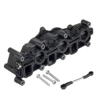 Intake Manifold Module HENGST FILTER...