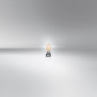 5 Glühlampen für Blinkleuchte PWY24W 12V 24W WP3.3x14.5 4 OSRAM für diverse PKW