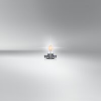 2 Glühlampen für Blinkleuchte PY24W 12V 24W PGU20 4 OSRAM für diverse PKW