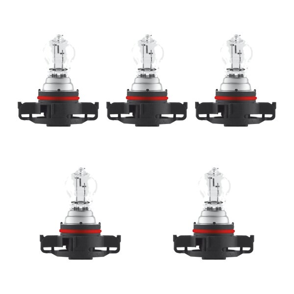 5 Glühlampen für Blinkleuchte PSX24W 12V 24W PG20 7 OSRAM für diverse PKW