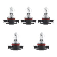 5 Glühlampen für Blinkleuchte PSX24W 12V 24W...