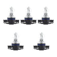5 Glühlampen für Blinkleuchte PS24W 12V 24W...