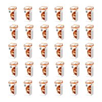 30 Glühlampen 24V Licht-Expertise OSRAM ORIGINAL...