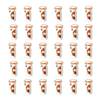 30 Glühlampen 24V Licht-Expertise OSRAM ORIGINAL...