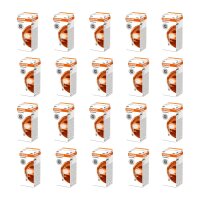 20 Bulbs 45lm Light Expert OSRAM ORIGINAL FESTOON...