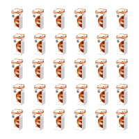 30 Glühlampen 24V Licht-Expertise OSRAM ORIGINAL...