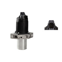 AGR-Ventil elektrisch Aluminium NTK IAM-Expertise...