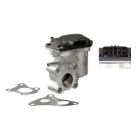 AGR-Ventil elektrisch Aluminium NTK IAM-Expertise...