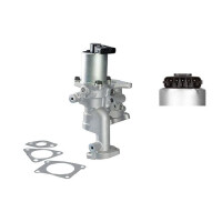 AGR-Ventil elektrisch Aluminium NTK IAM-Expertise...