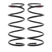 Suspension Spring Set front axle coil spring Ø 175...