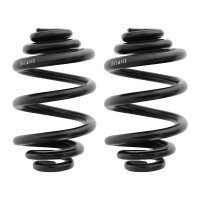 Fahrwerksfedern-Set hinten Schraubenfeder Ø 145 mm...