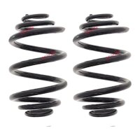 Fahrwerksfedern-Set hinten Schraubenfeder Ø 143 mm...